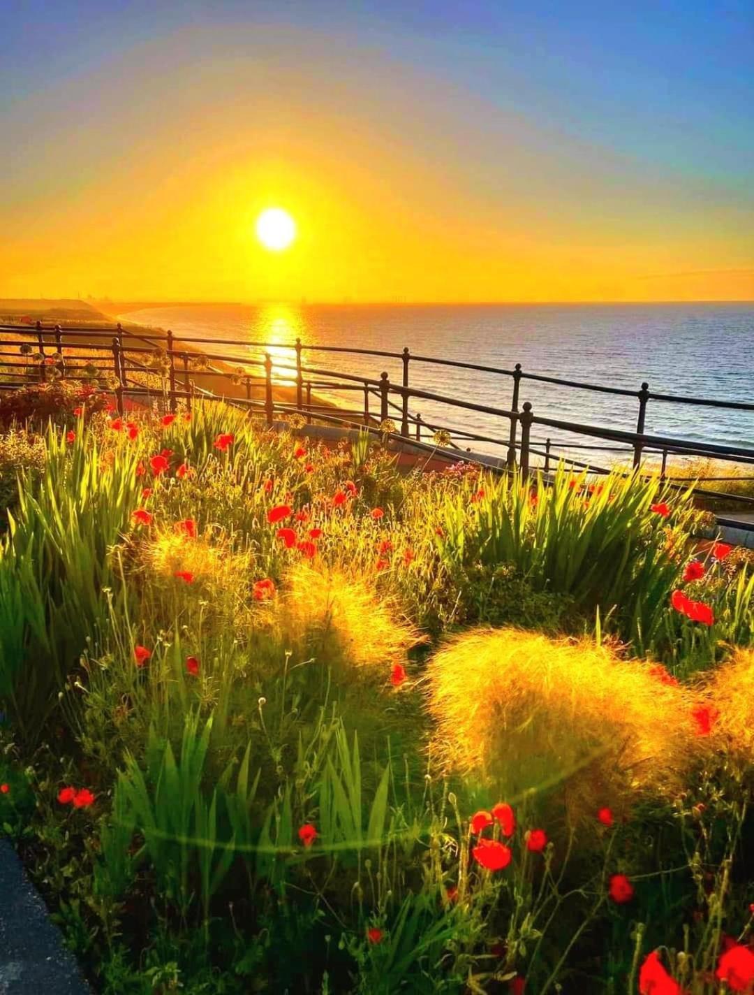 Captain'S Deck Beach Balcony Perfectlysaltburn Luaran gambar